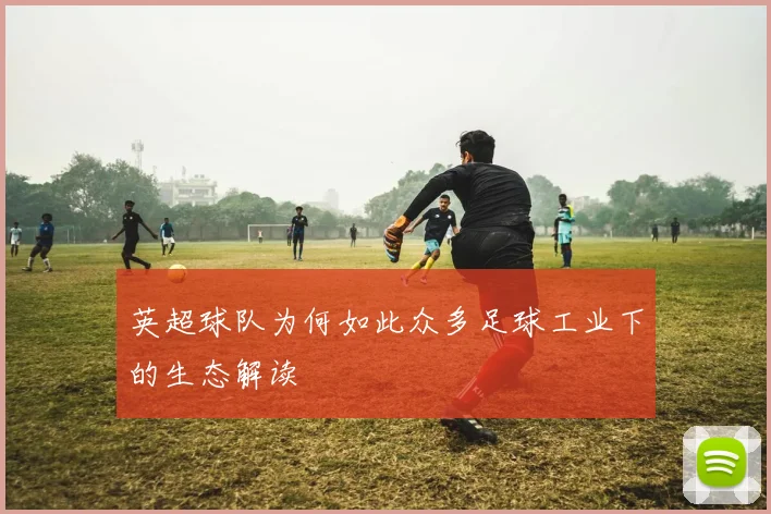 英超球队为何如此众多足球工业下的生态解读