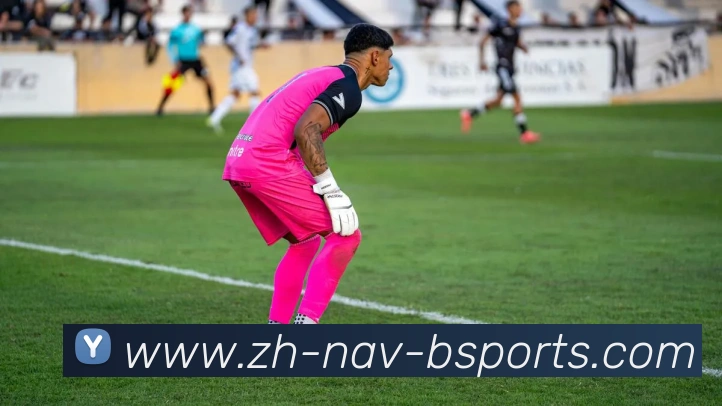 B体育APP 封面图